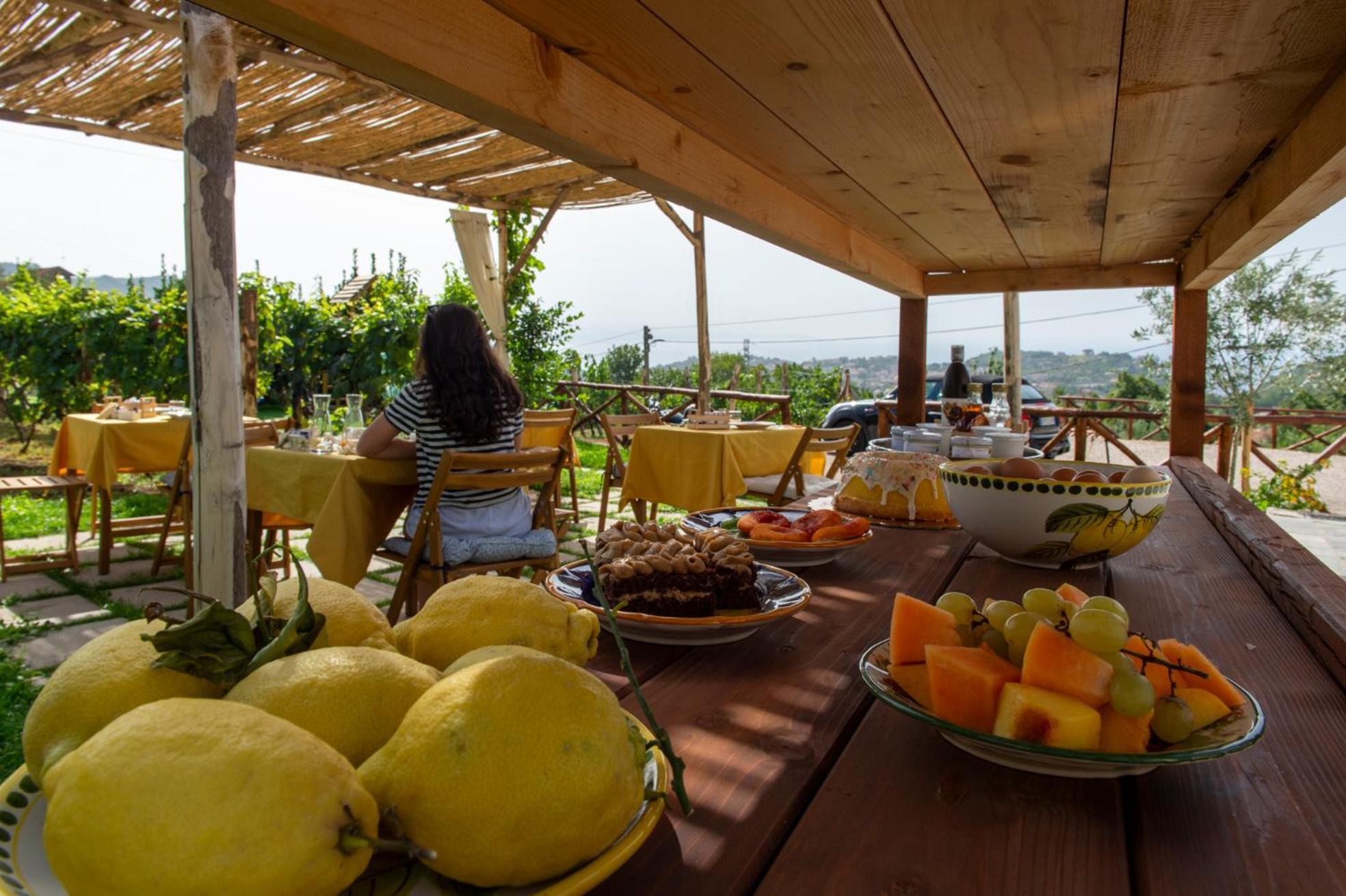 Bed and Breakfast Il Vigneto Di Nonno Pietro Аджерола Экстерьер фото