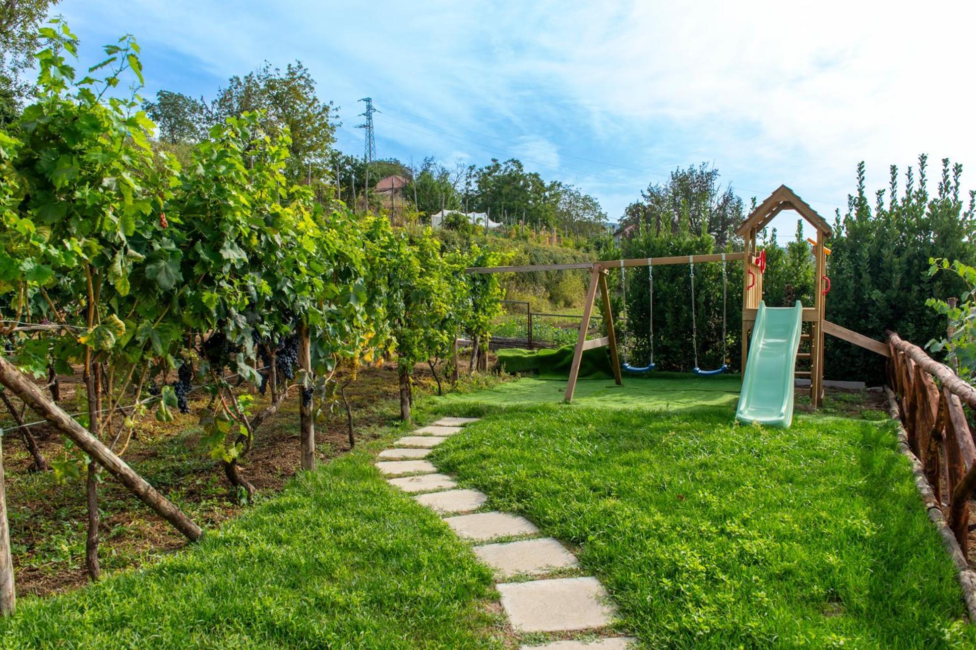 Bed and Breakfast Il Vigneto Di Nonno Pietro Аджерола Экстерьер фото